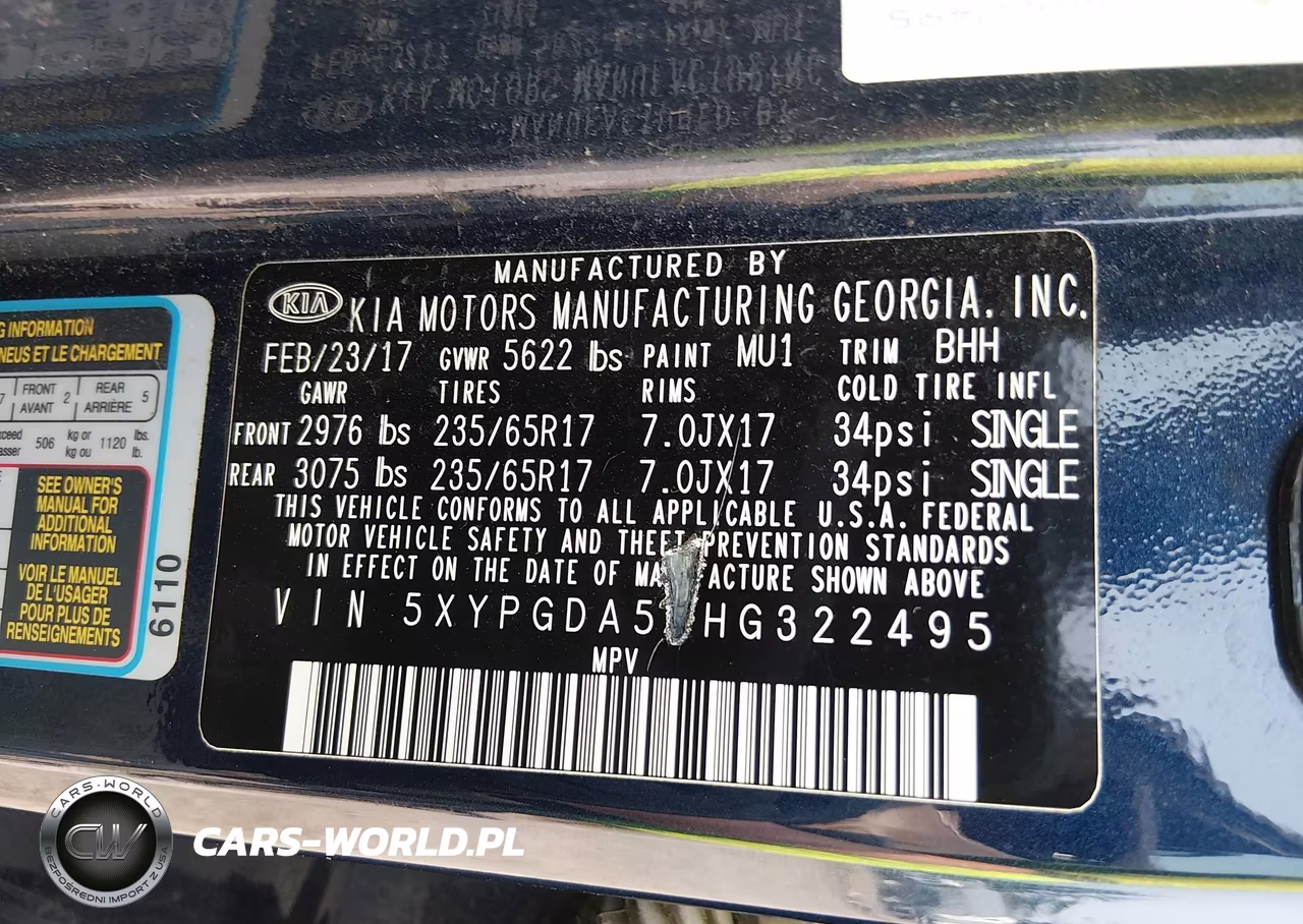 2017 Kia Sorento 3.3L Lx VIN:5XYPGDA54HG322495 - 9
