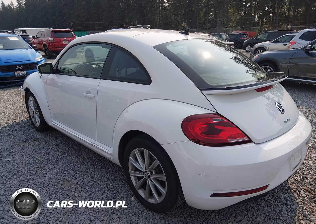 2018 Volkswagen Beetle 2.0T Coast-2.0T S VIN:3VWFD7AT0JM700984 - 3
