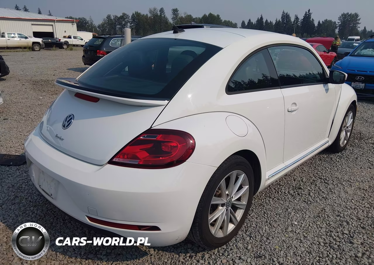 2018 Volkswagen Beetle 2.0T Coast-2.0T S VIN:3VWFD7AT0JM700984 - 4