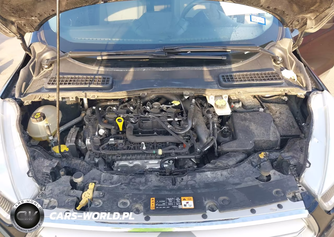 2019 Ford Escape Se VIN:1FMCU0GD0KUC52431 - 10