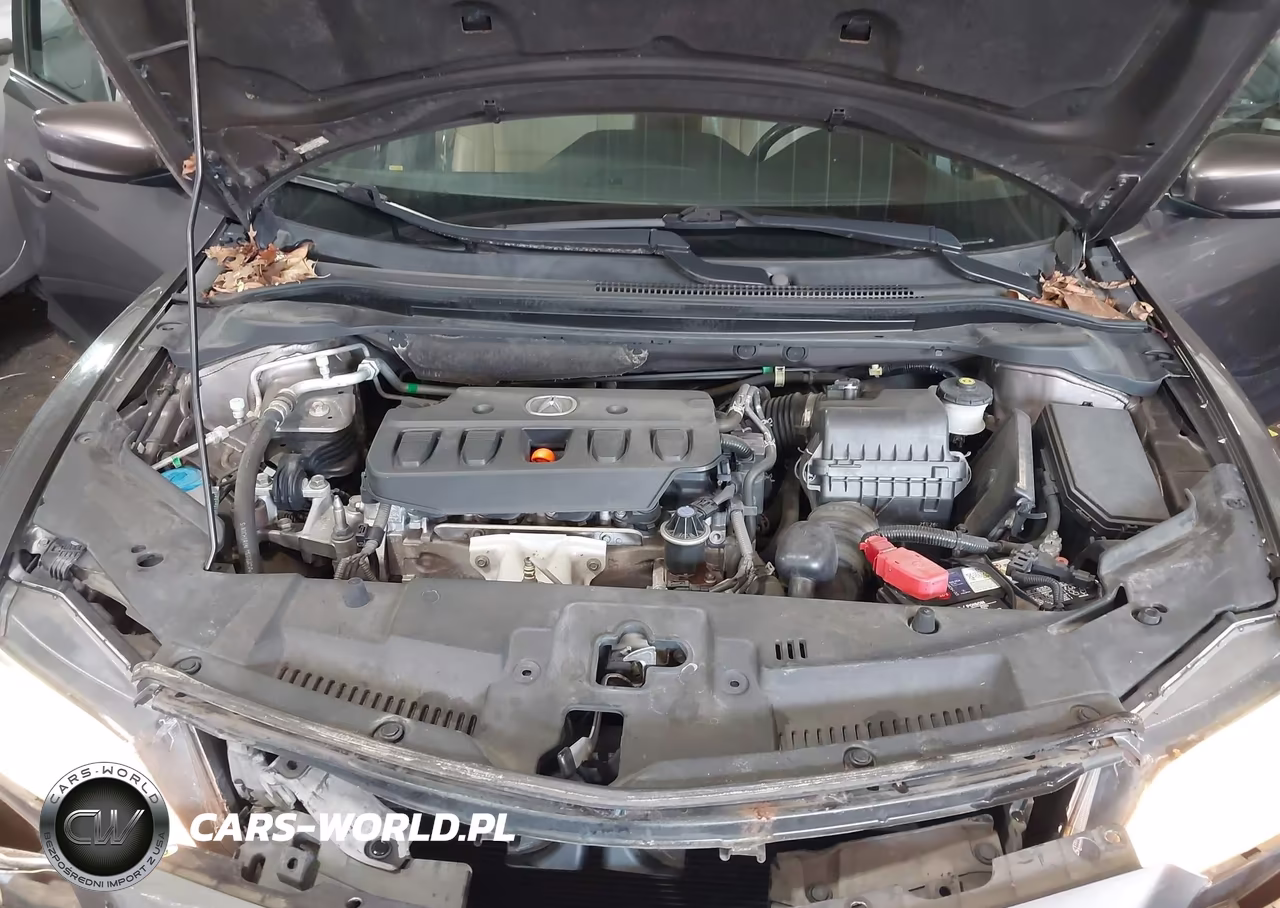 2013 Acura Ilx 2.0L VIN:19VDE1F77DE015288 - 10