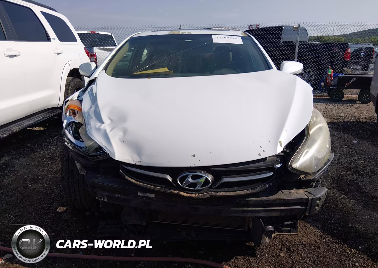 2013 Hyundai Elantra Limited VIN:5NPDH4AEXDH402659 - 12