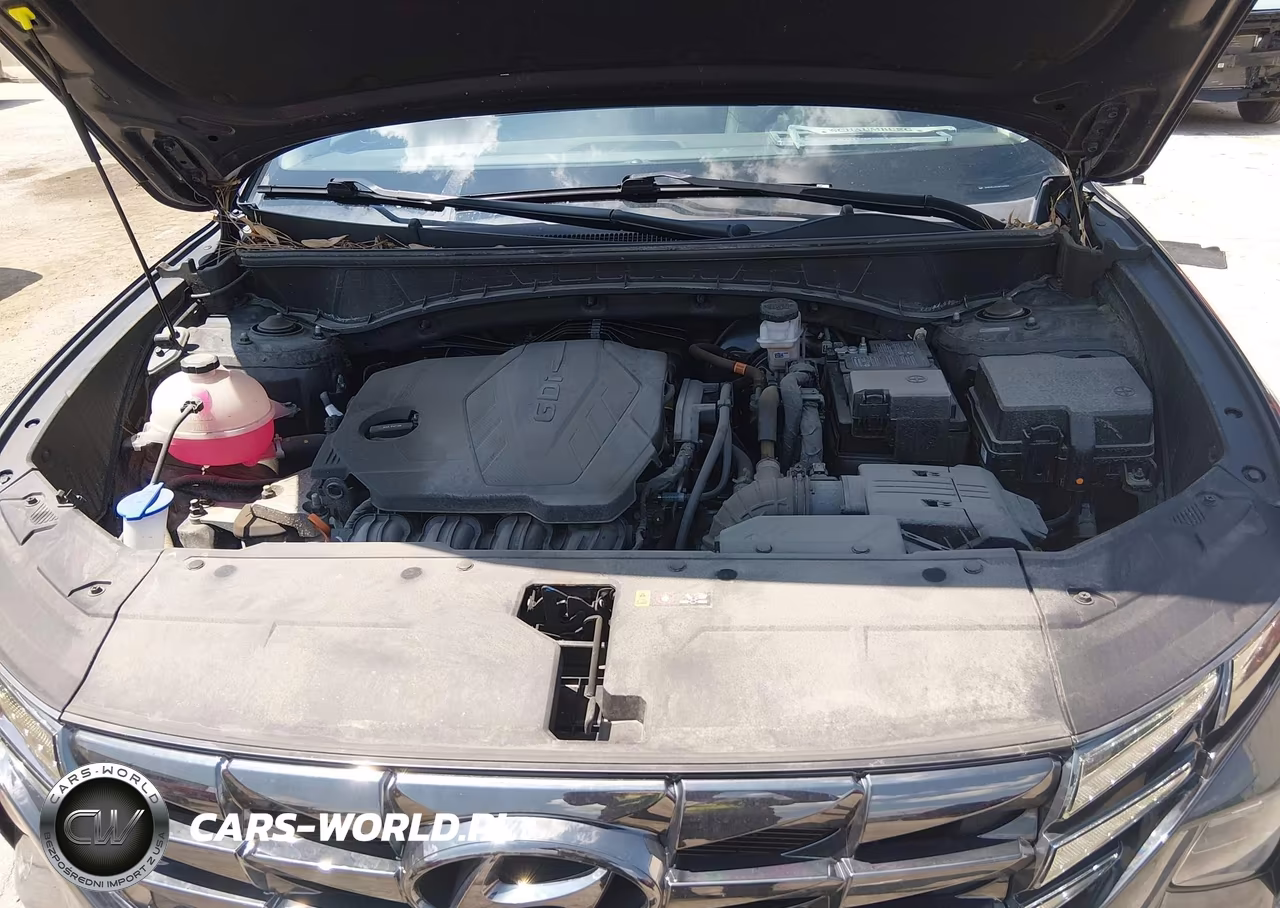 2024 Hyundai Tucson Limited VIN:5NMJECDEXRH364839 - 10