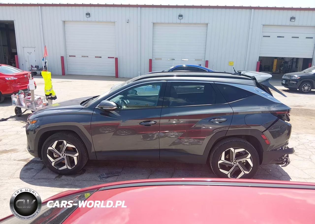 2024 Hyundai Tucson Limited VIN:5NMJECDEXRH364839 - 15