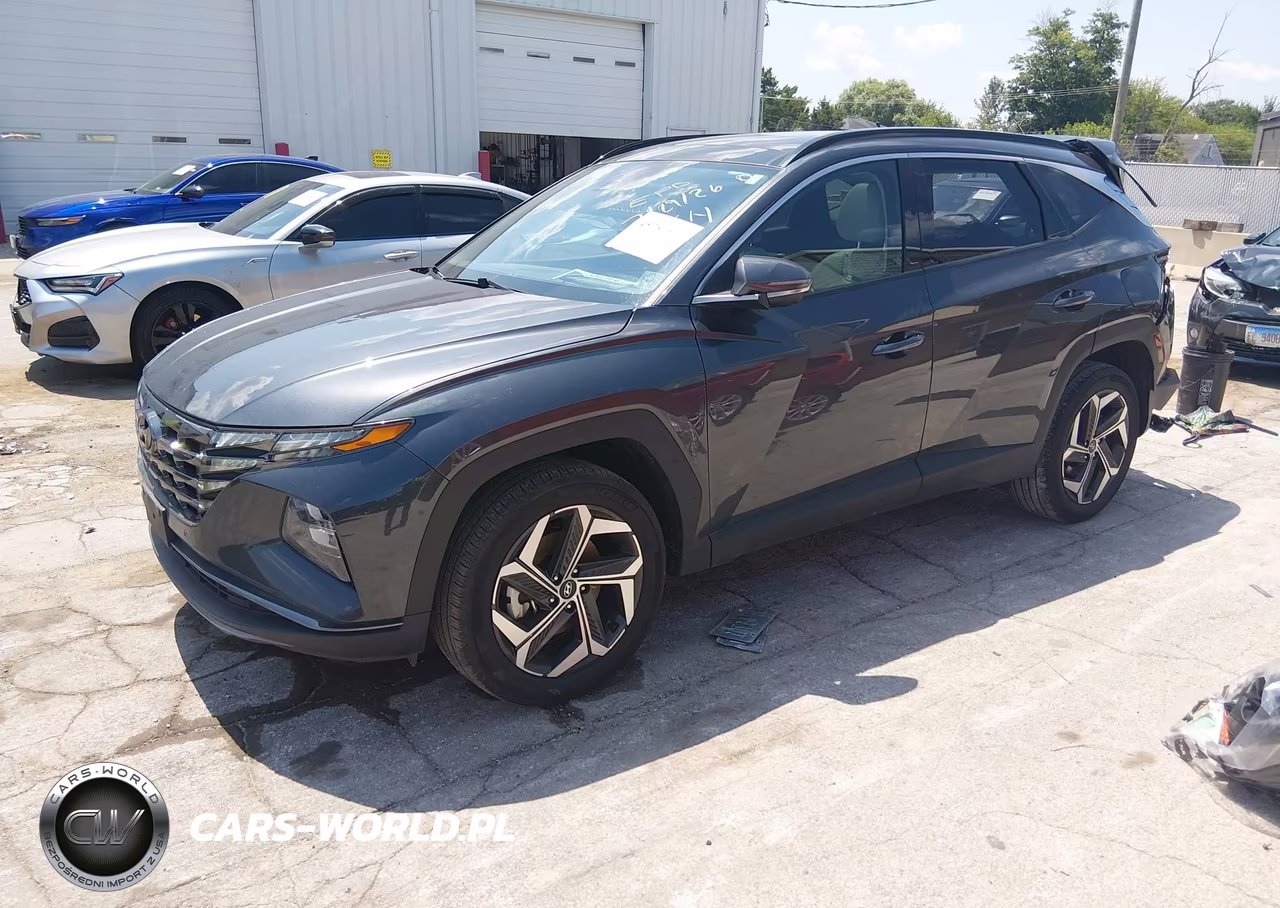 2024 Hyundai Tucson Limited VIN:5NMJECDEXRH364839 - 2