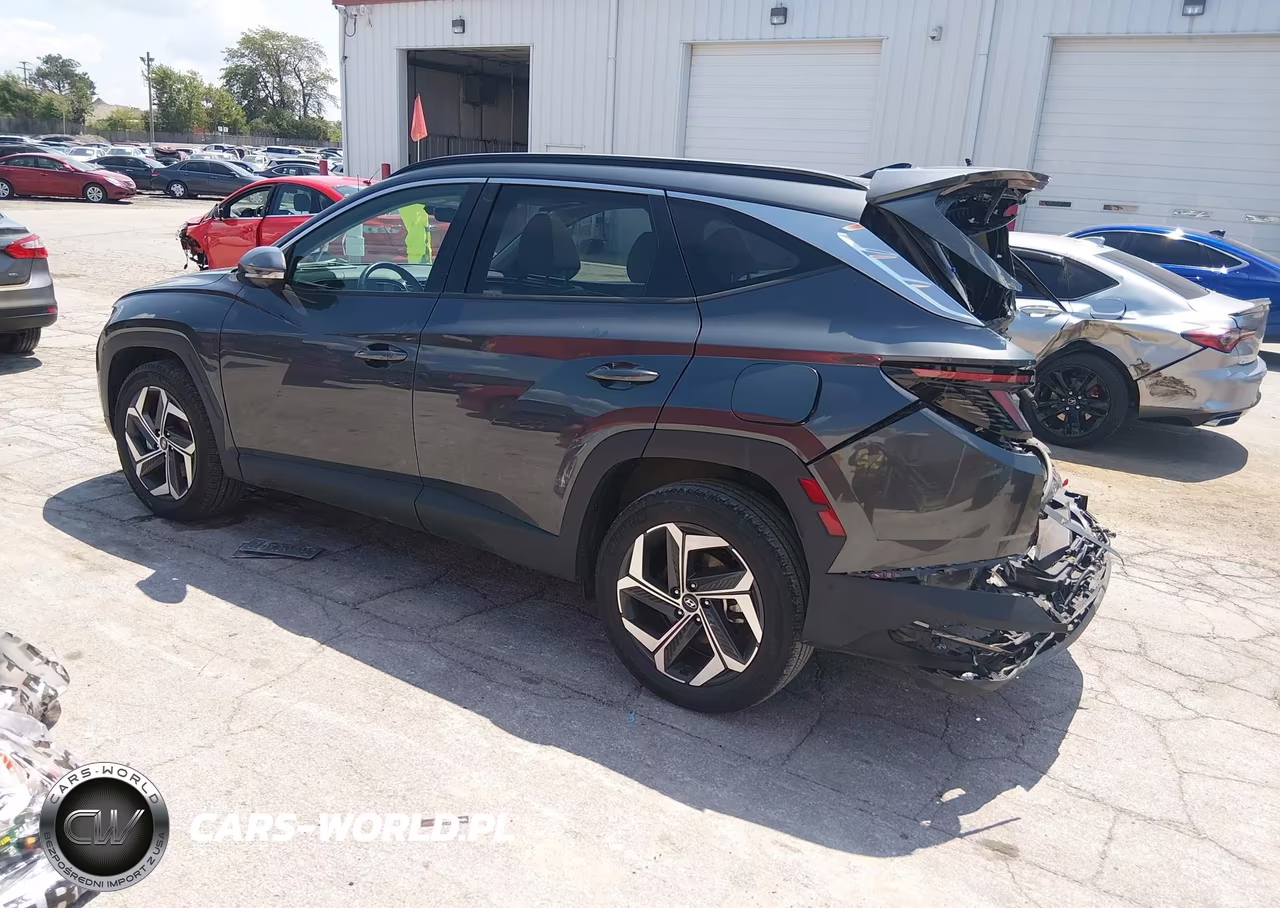 2024 Hyundai Tucson Limited VIN:5NMJECDEXRH364839 - 3