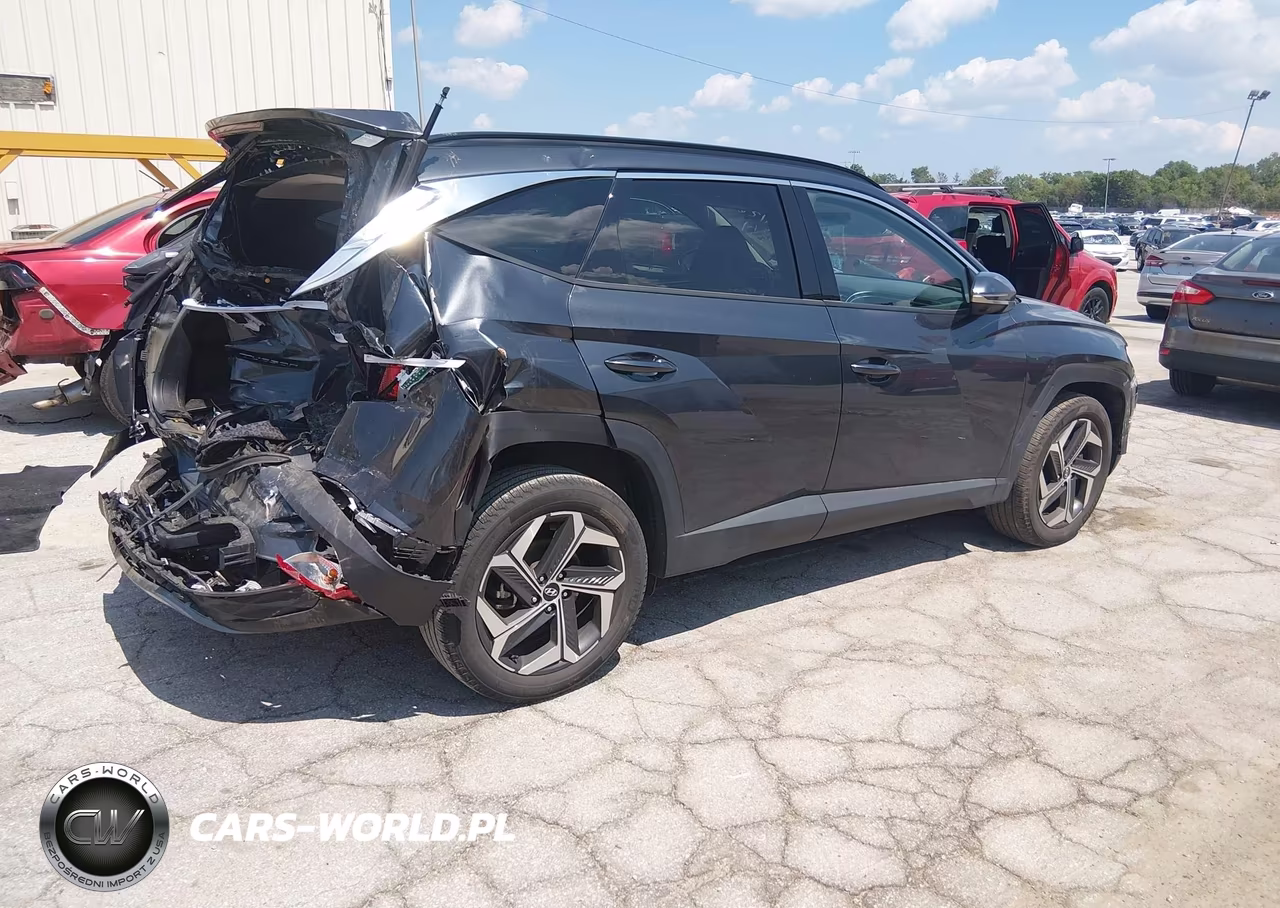 2024 Hyundai Tucson Limited VIN:5NMJECDEXRH364839 - 4