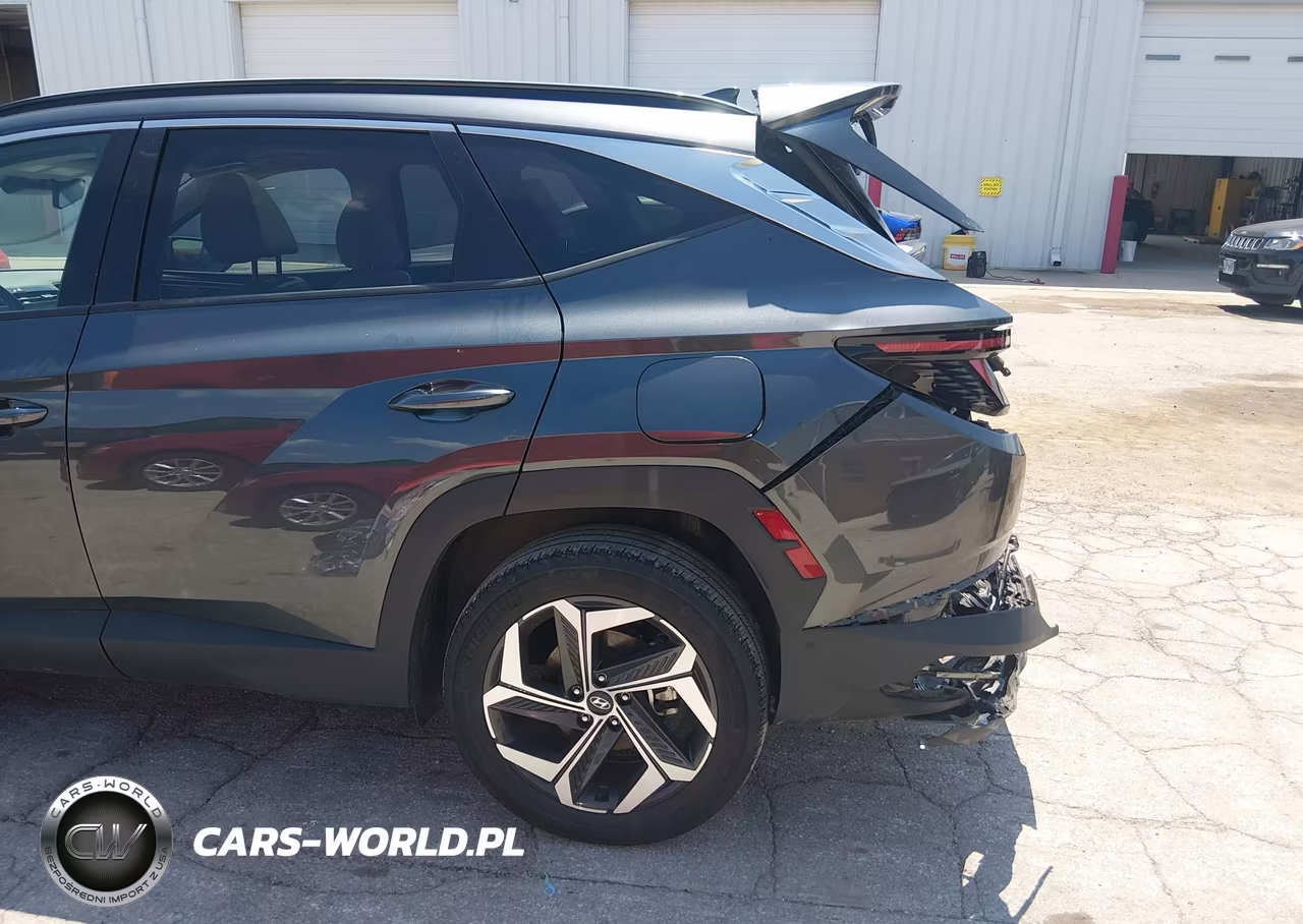 2024 Hyundai Tucson Limited VIN:5NMJECDEXRH364839 - 6