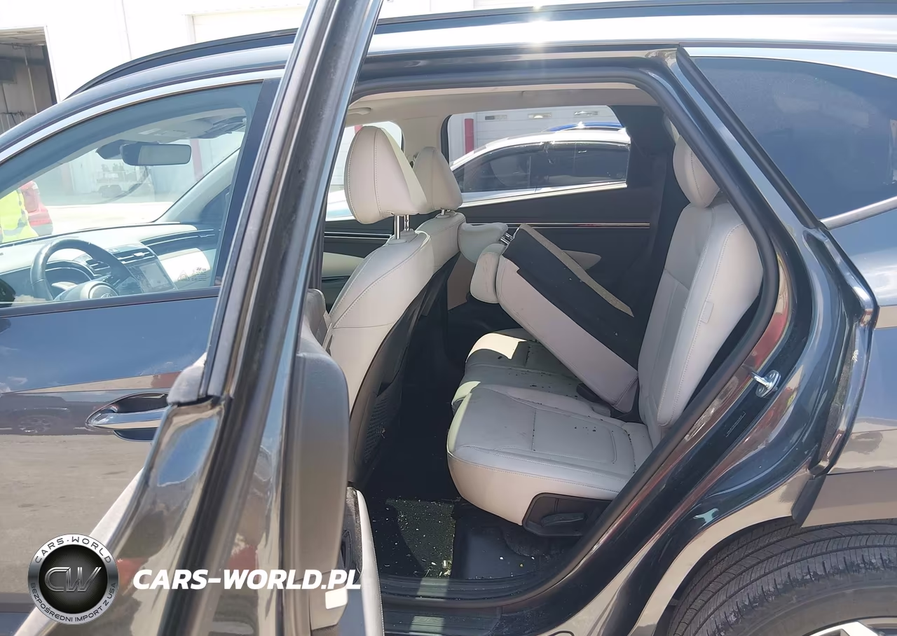 2024 Hyundai Tucson Limited VIN:5NMJECDEXRH364839 - 8