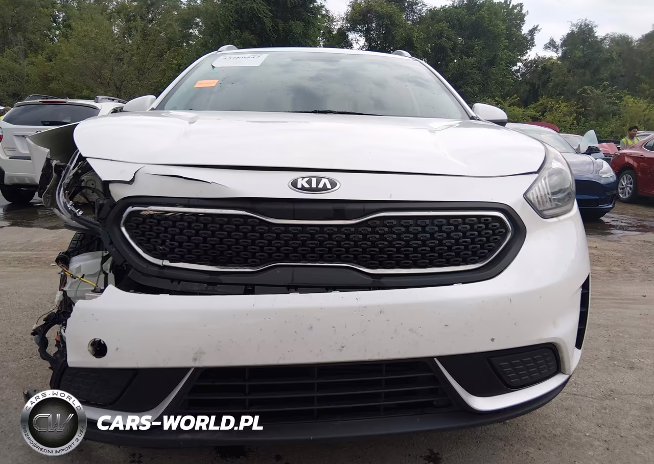 2017 Kia Niro Lx VIN:KNDCB3LC2H5093133 - 17