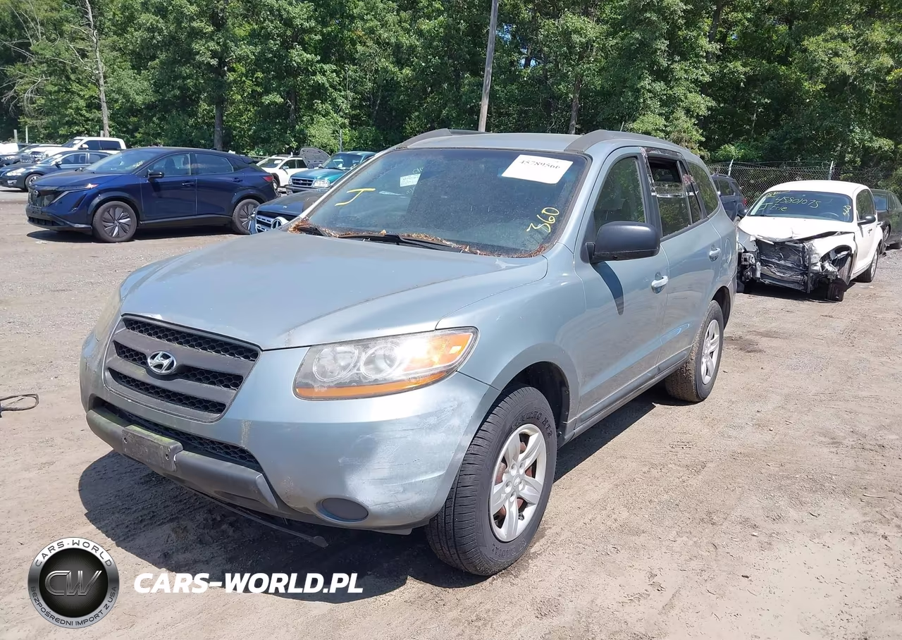 2009 Hyundai Santa Fe Gls VIN:5NMSG13D79H301435 - 2