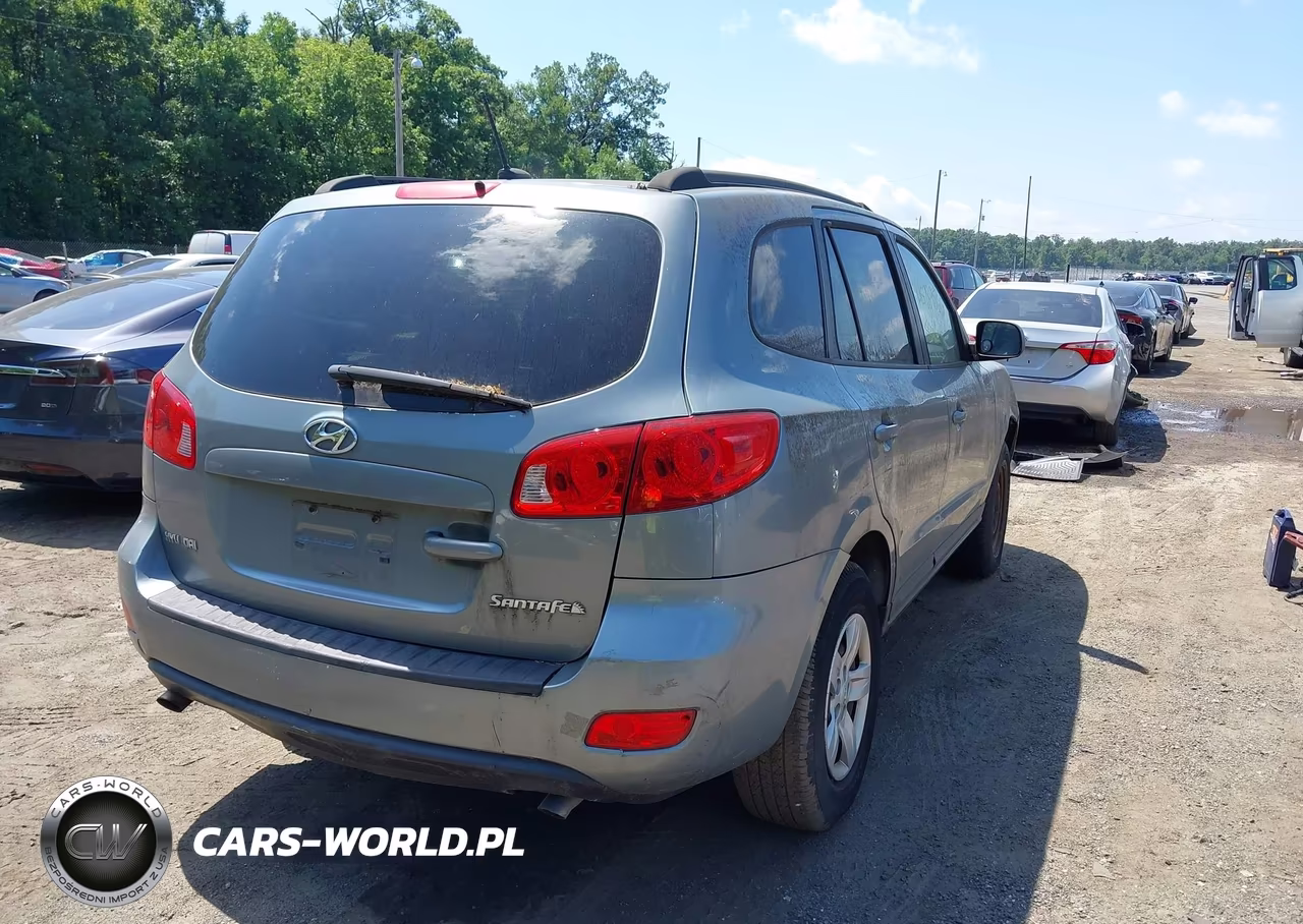 2009 Hyundai Santa Fe Gls VIN:5NMSG13D79H301435 - 4