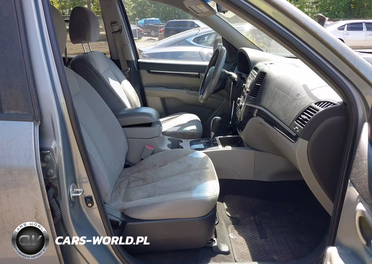 2009 Hyundai Santa Fe Gls VIN:5NMSG13D79H301435 - 5