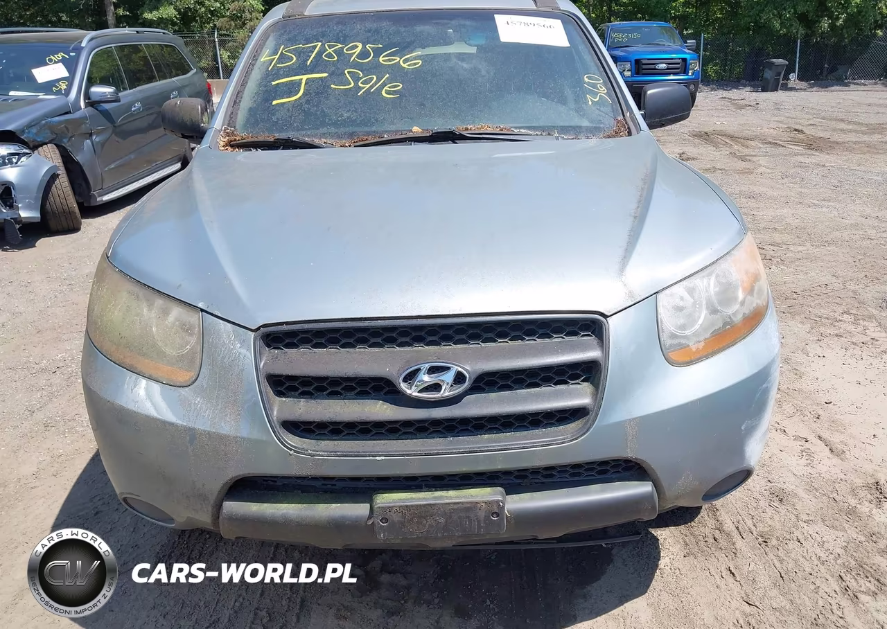 2009 Hyundai Santa Fe Gls VIN:5NMSG13D79H301435 - 6