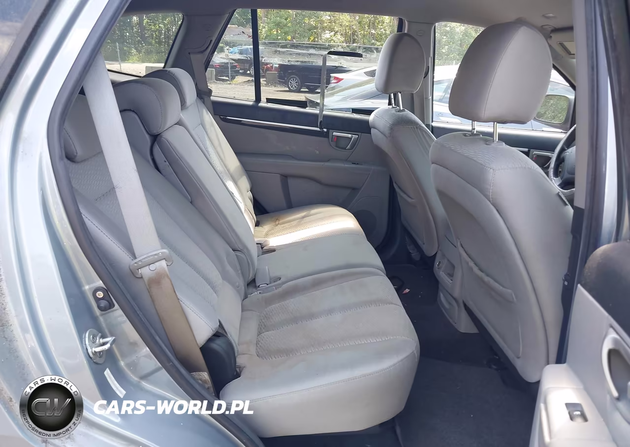 2009 Hyundai Santa Fe Gls VIN:5NMSG13D79H301435 - 8