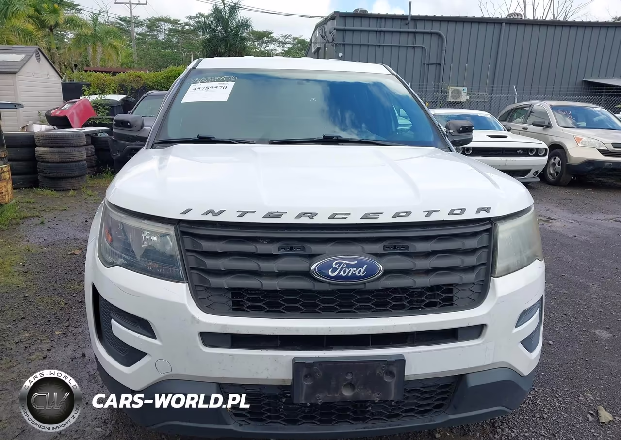 2018 Ford Police Interceptor Utility VIN:1FM5K8AT8JGC75692 - 12