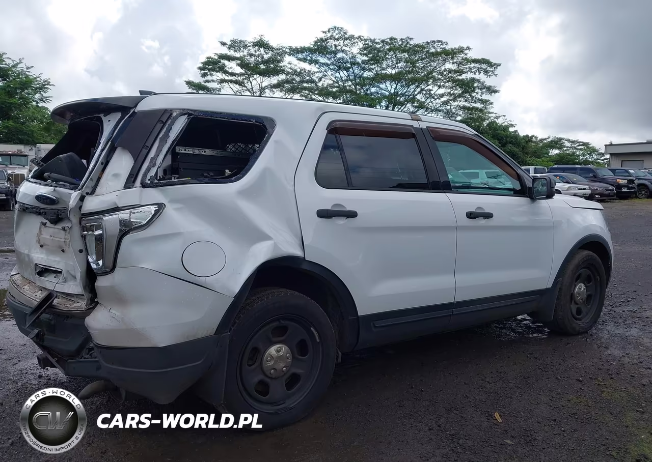 2018 Ford Police Interceptor Utility VIN:1FM5K8AT8JGC75692 - 13
