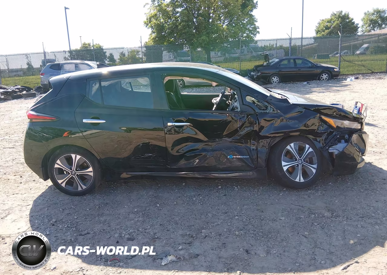 2019 Nissan Leaf Sv VIN:1N4AZ1CP9KC306100 - 12