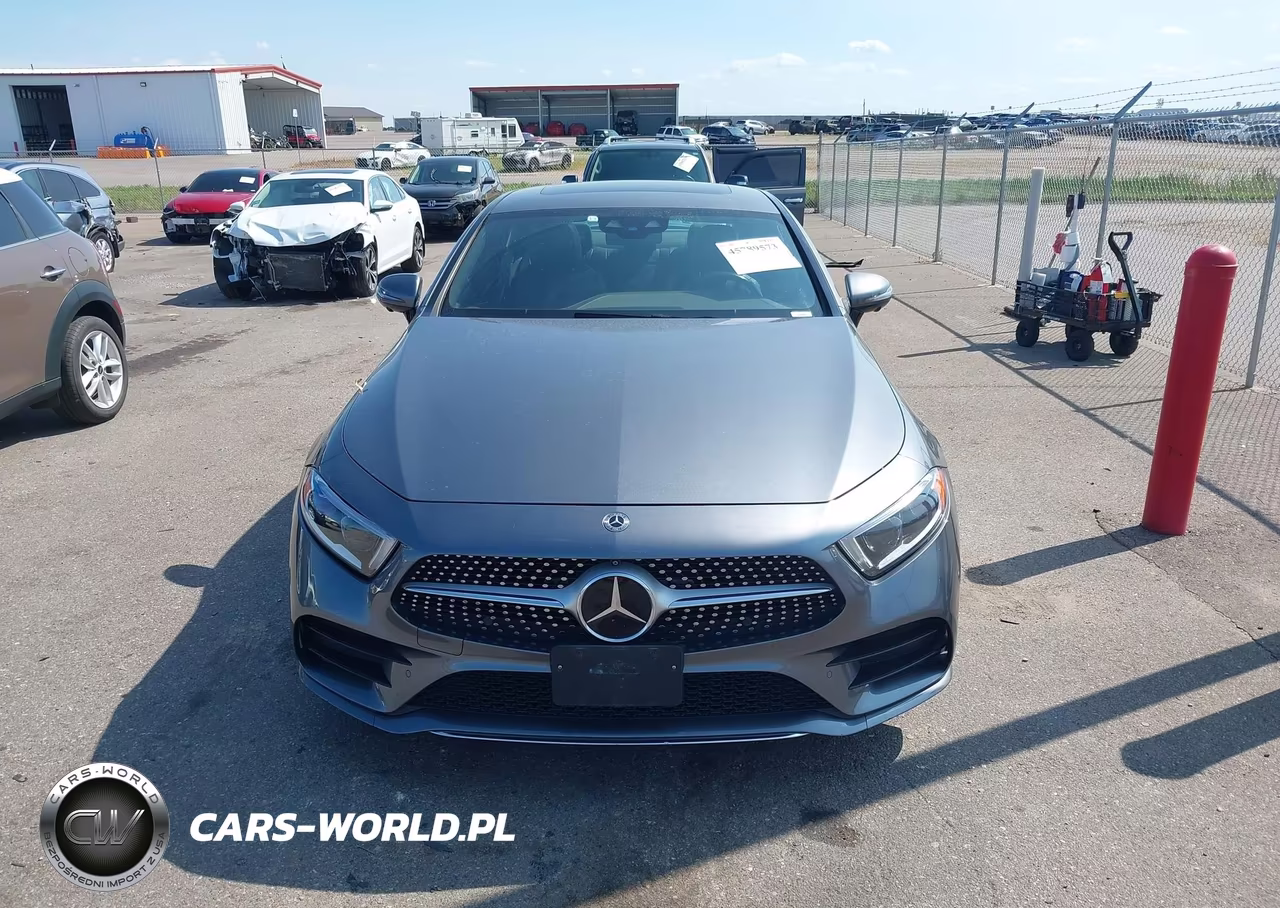 2019 Mercedes-Benz Cls 450 4Matic VIN:WDD2J5KB1KA027793 - 13