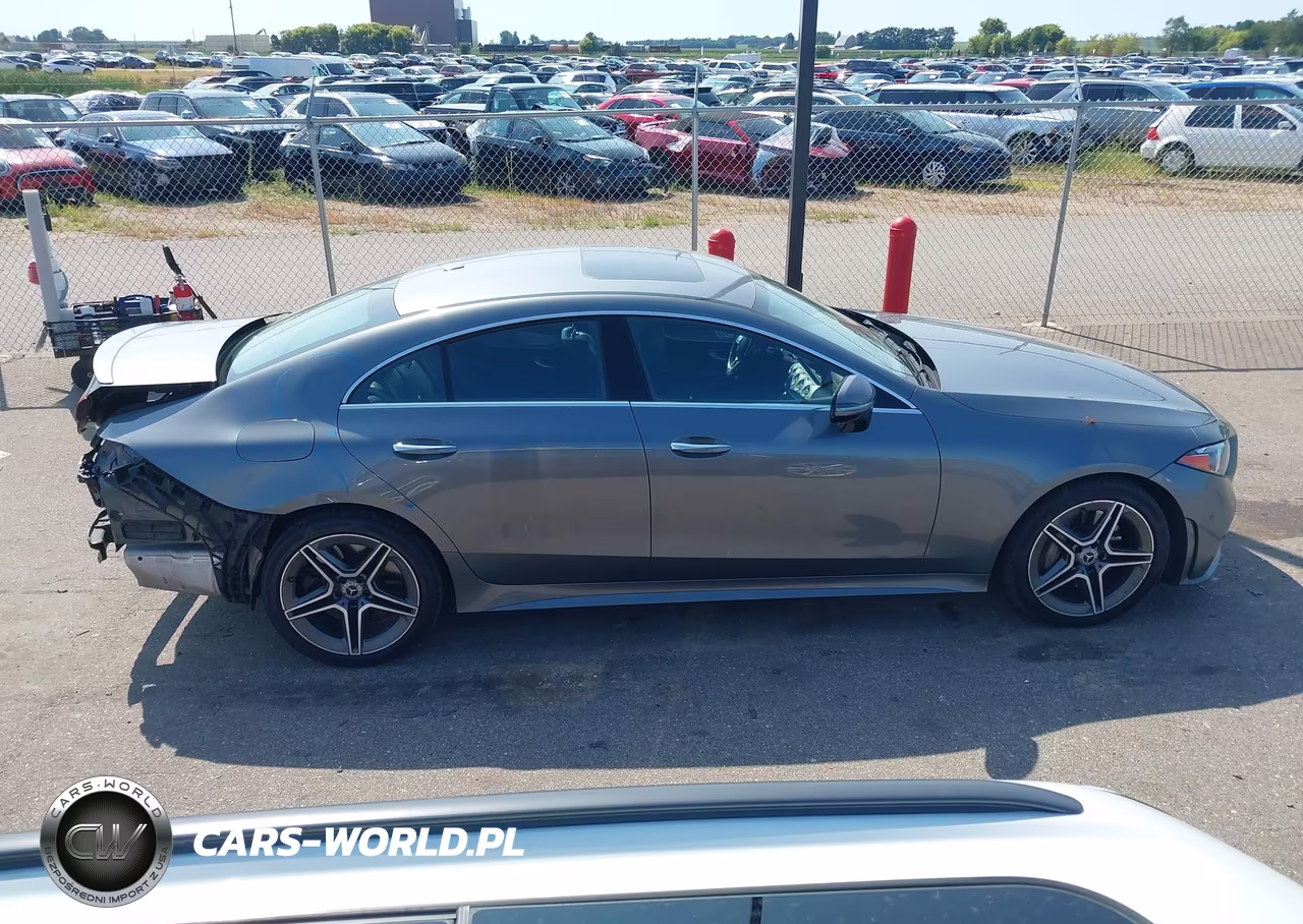 2019 Mercedes-Benz Cls 450 4Matic VIN:WDD2J5KB1KA027793 - 14