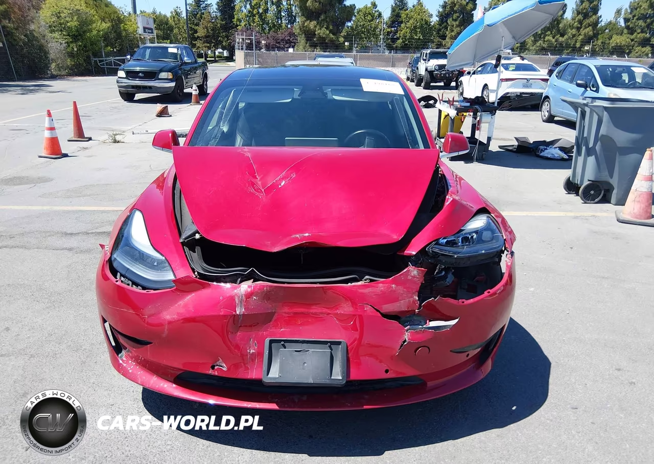 2019 Tesla Model 3 VIN:5YJ3E1EA9KF299076 - 11