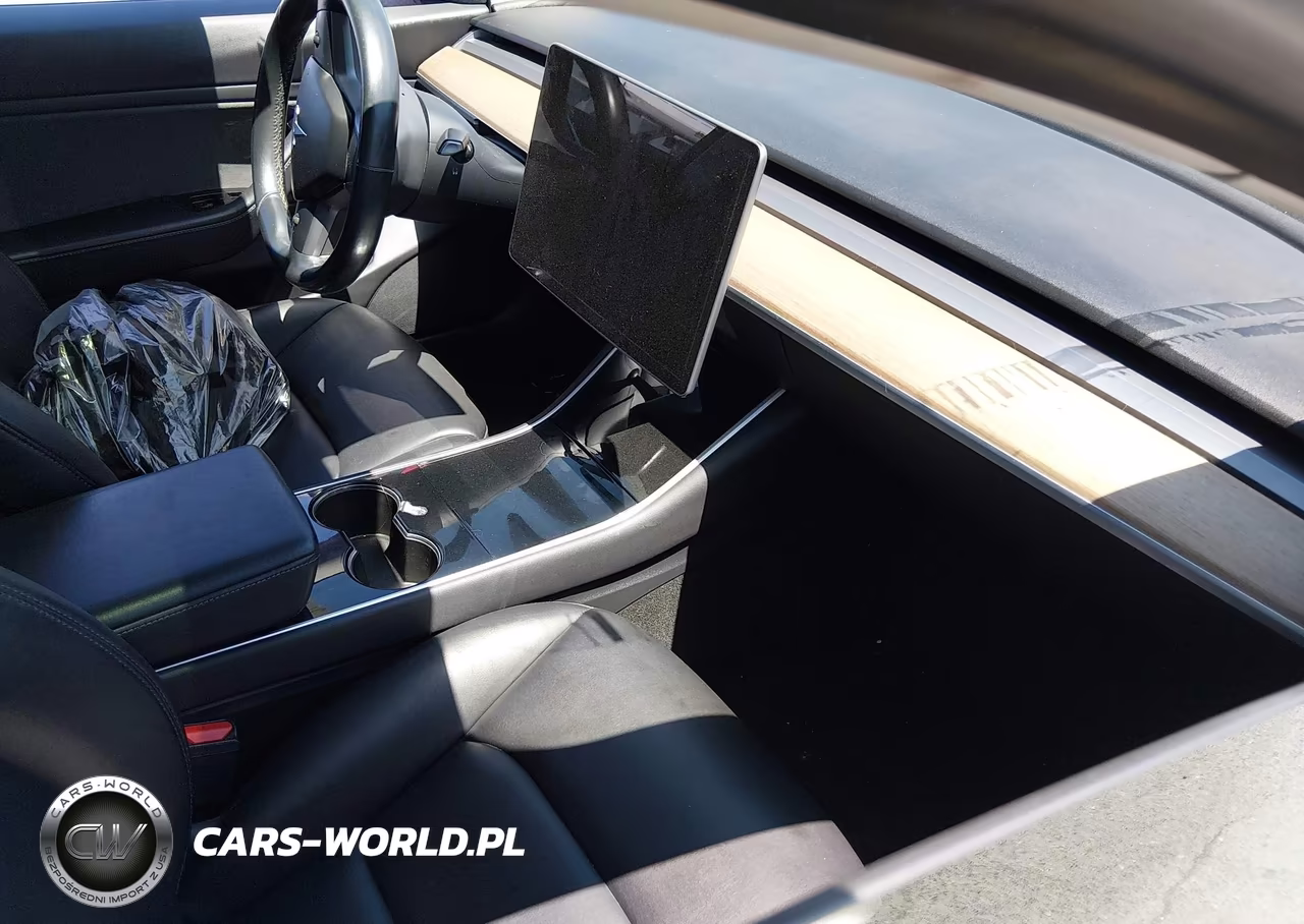 2019 Tesla Model 3 VIN:5YJ3E1EA9KF299076 - 5