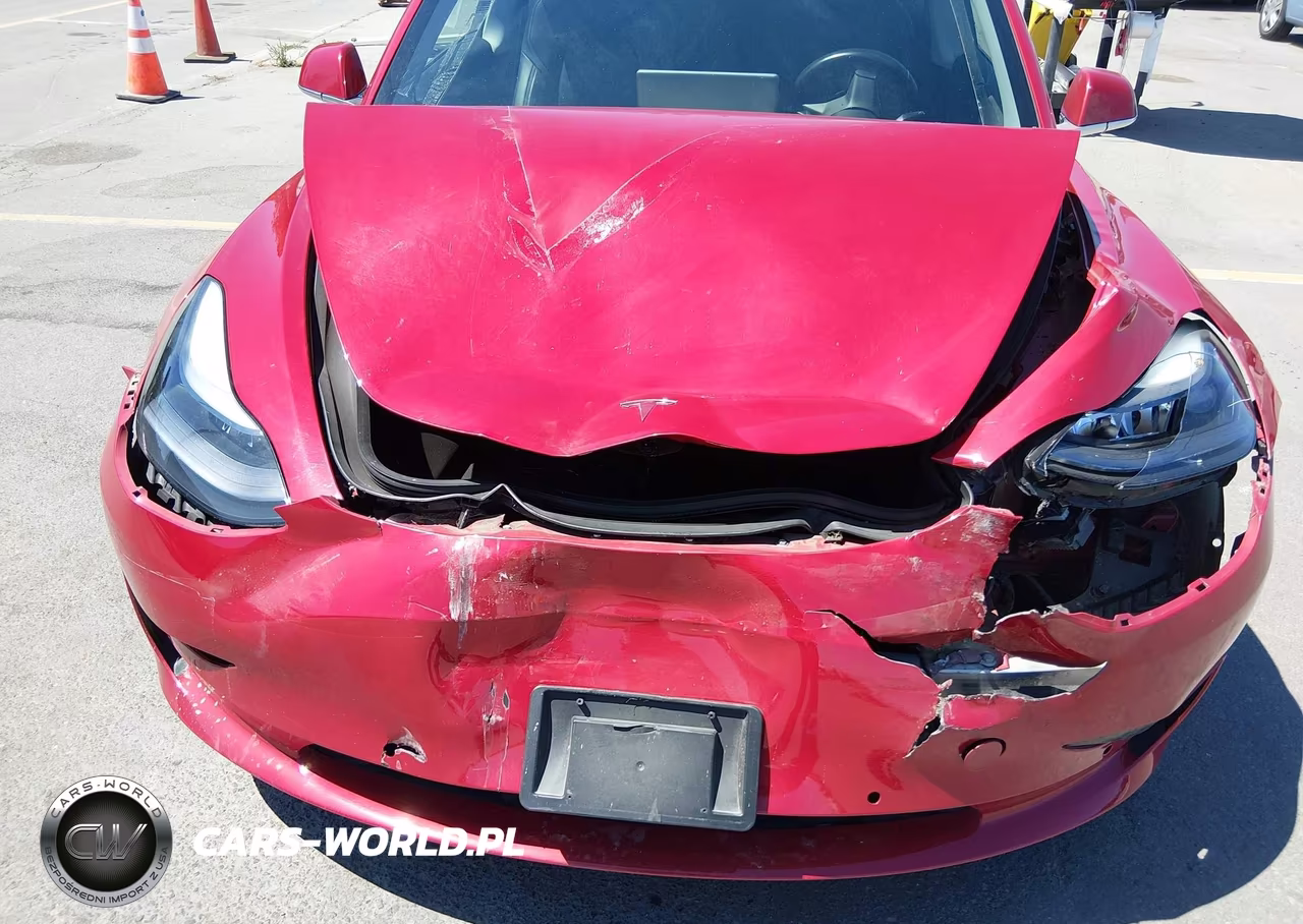 2019 Tesla Model 3 VIN:5YJ3E1EA9KF299076 - 6