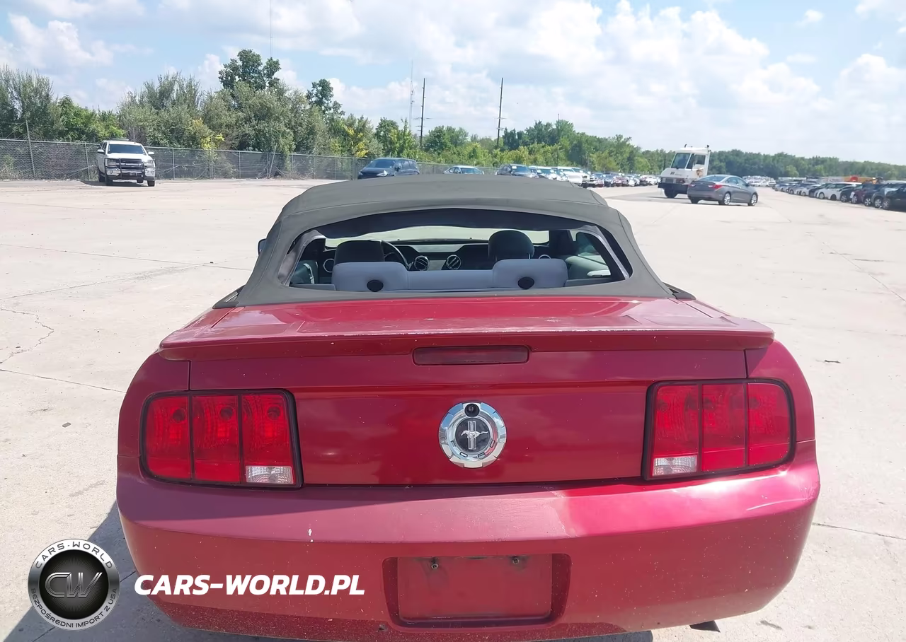 2008 Ford Mustang V6 Deluxe-V6 Premium VIN:1ZVHT84N285153456 - 11