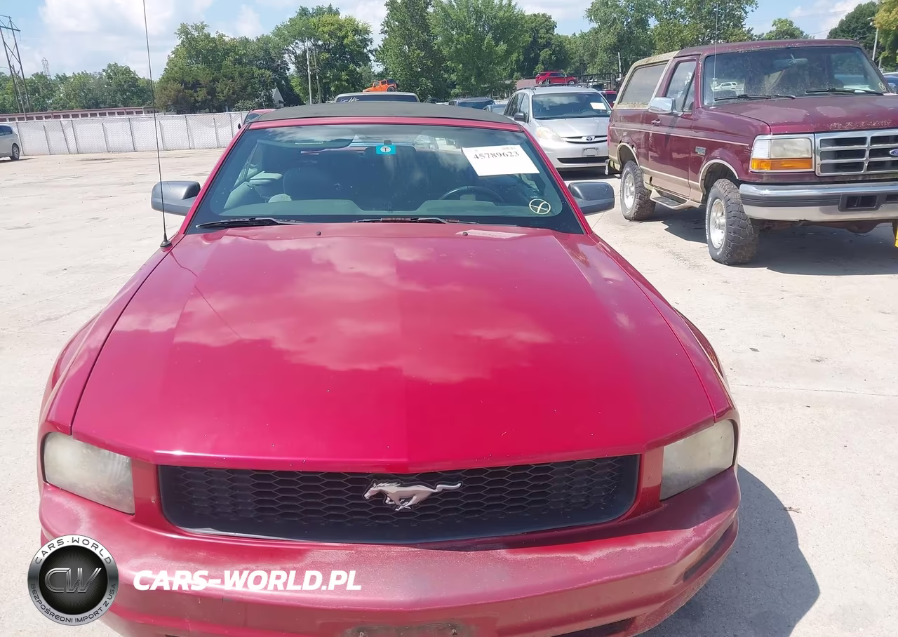 2008 Ford Mustang V6 Deluxe-V6 Premium VIN:1ZVHT84N285153456 - 12