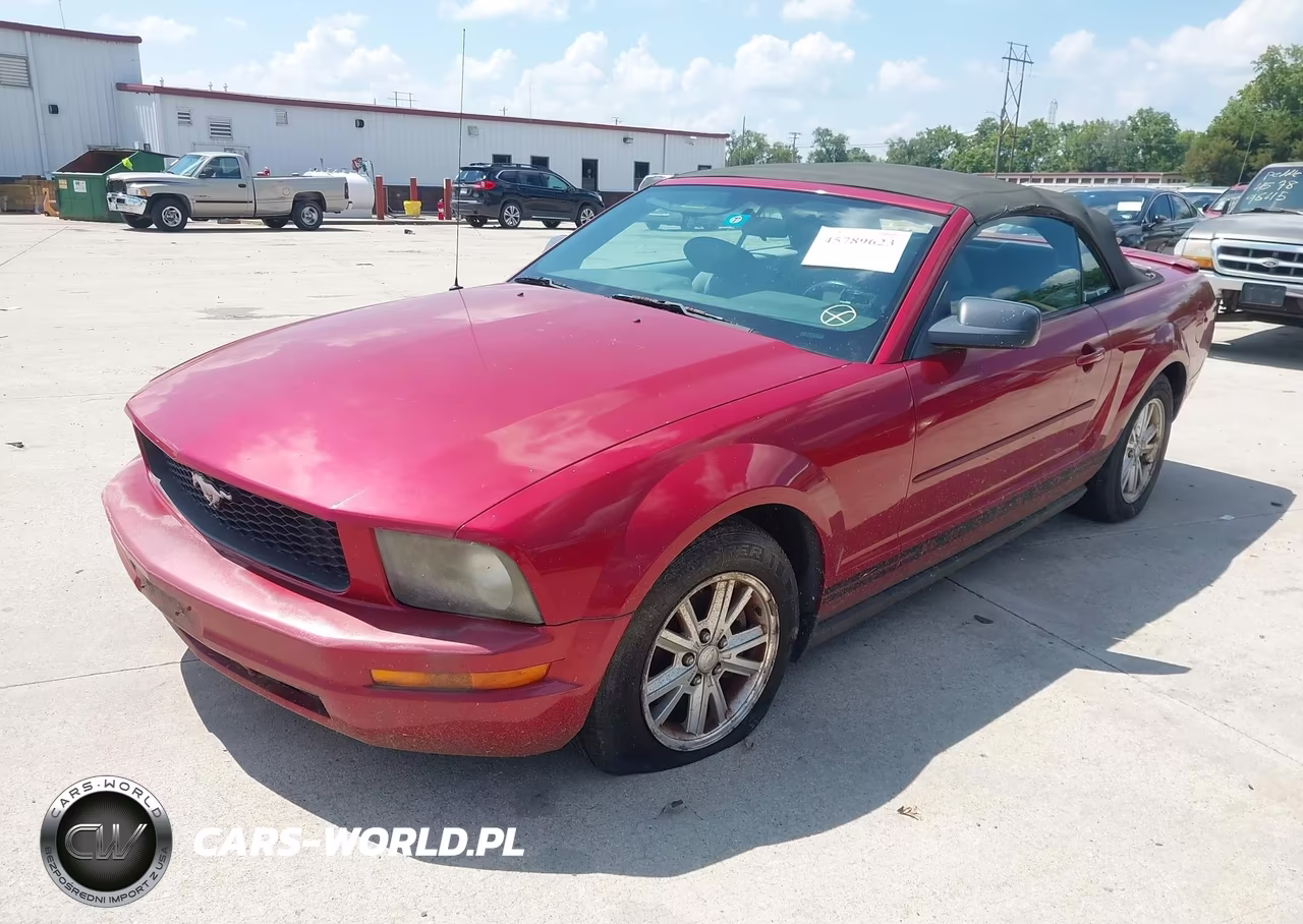2008 Ford Mustang V6 Deluxe-V6 Premium VIN:1ZVHT84N285153456 - 2