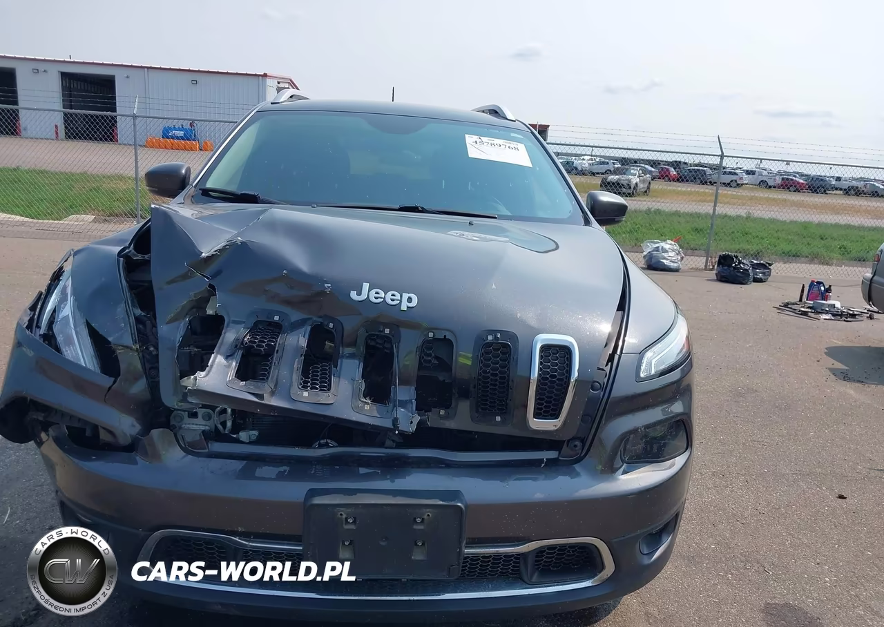 2017 Jeep Cherokee Limited VIN:1C4PJMDS6HW546292 - 12