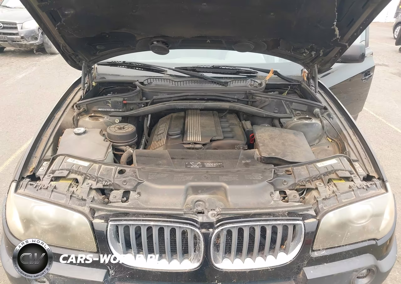 2004 BMW X3 2.5I VIN:WBXPA73454WB27354 - 10