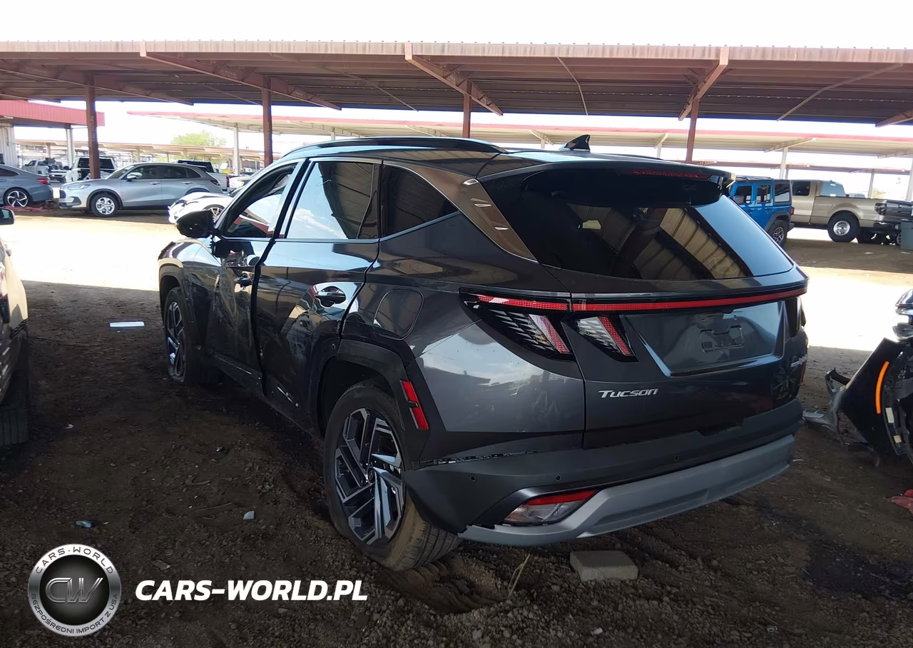 2025 Hyundai Tucson Hybrid Limited VIN:KM8JEDD15SU287651 - 3