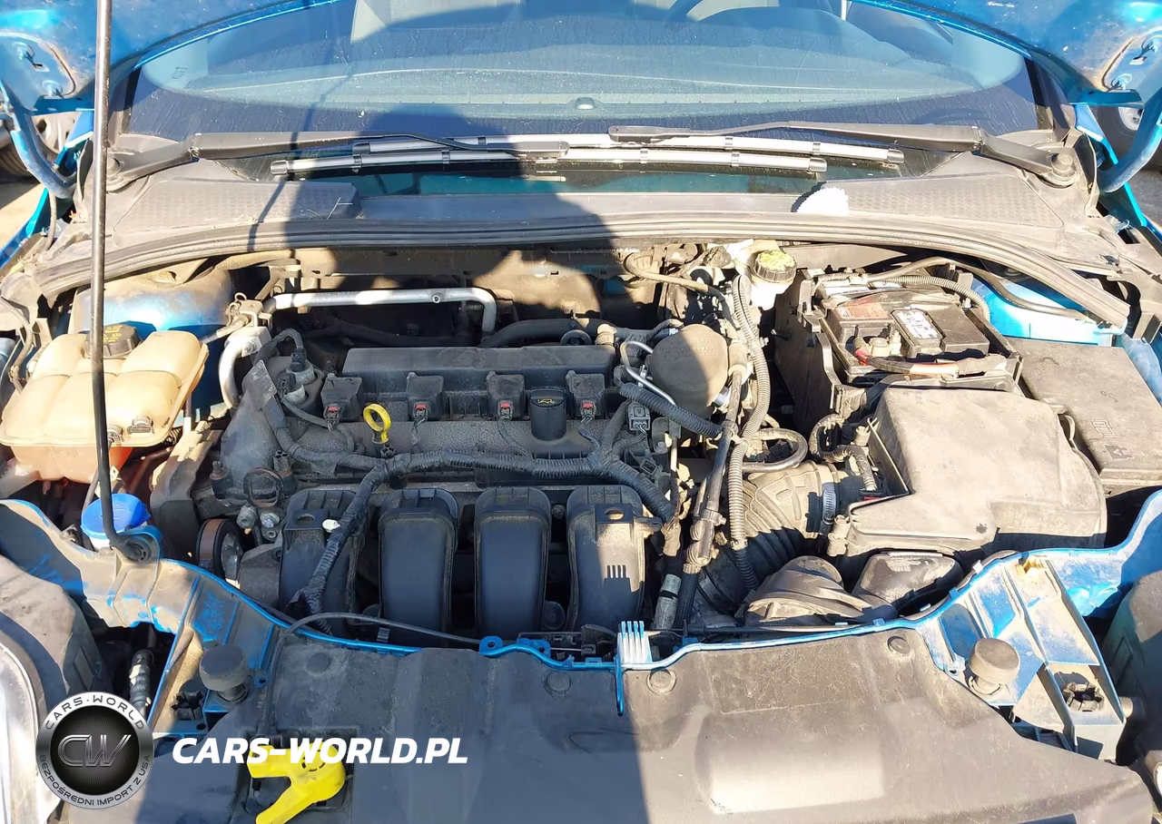 2014 Ford Focus Se VIN:1FADP3K20EL431995 - 10