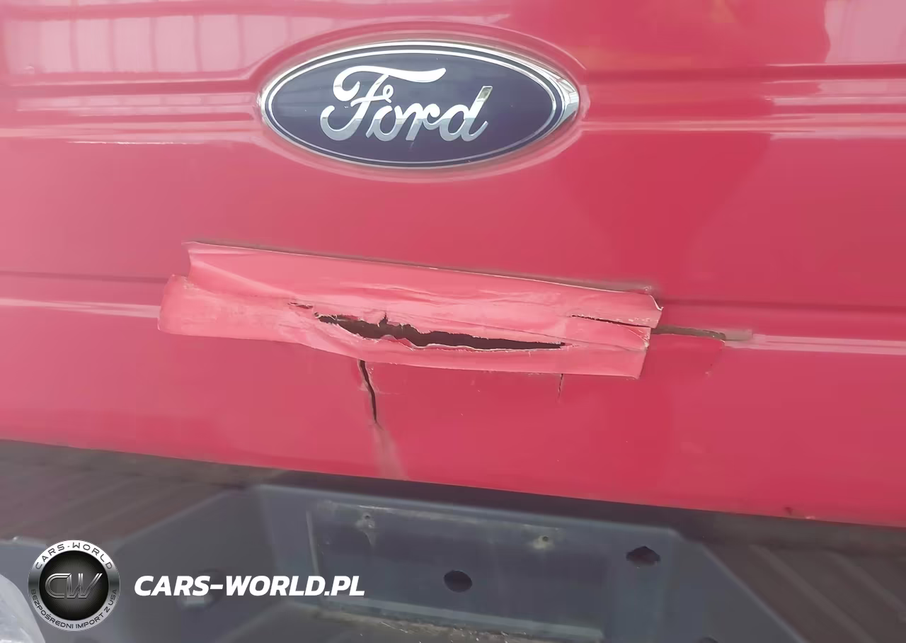 2009 Ford F-150 Stx-Xl-Xlt VIN:1FTRX12879FB33604 - 12