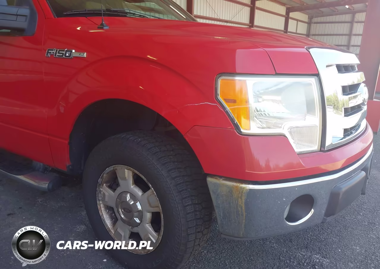 2009 Ford F-150 Stx-Xl-Xlt VIN:1FTRX12879FB33604 - 6
