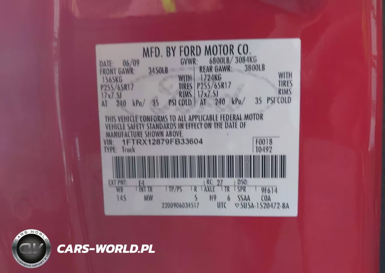 2009 Ford F-150 Stx-Xl-Xlt VIN:1FTRX12879FB33604 - 9