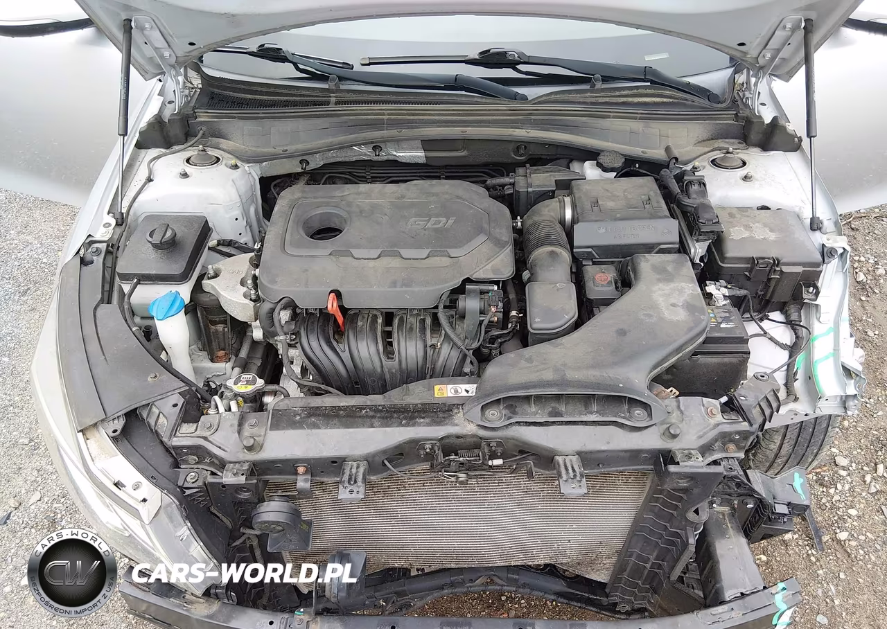 2019 Kia Optima Lx VIN:5XXGT4L30KG317393 - 10