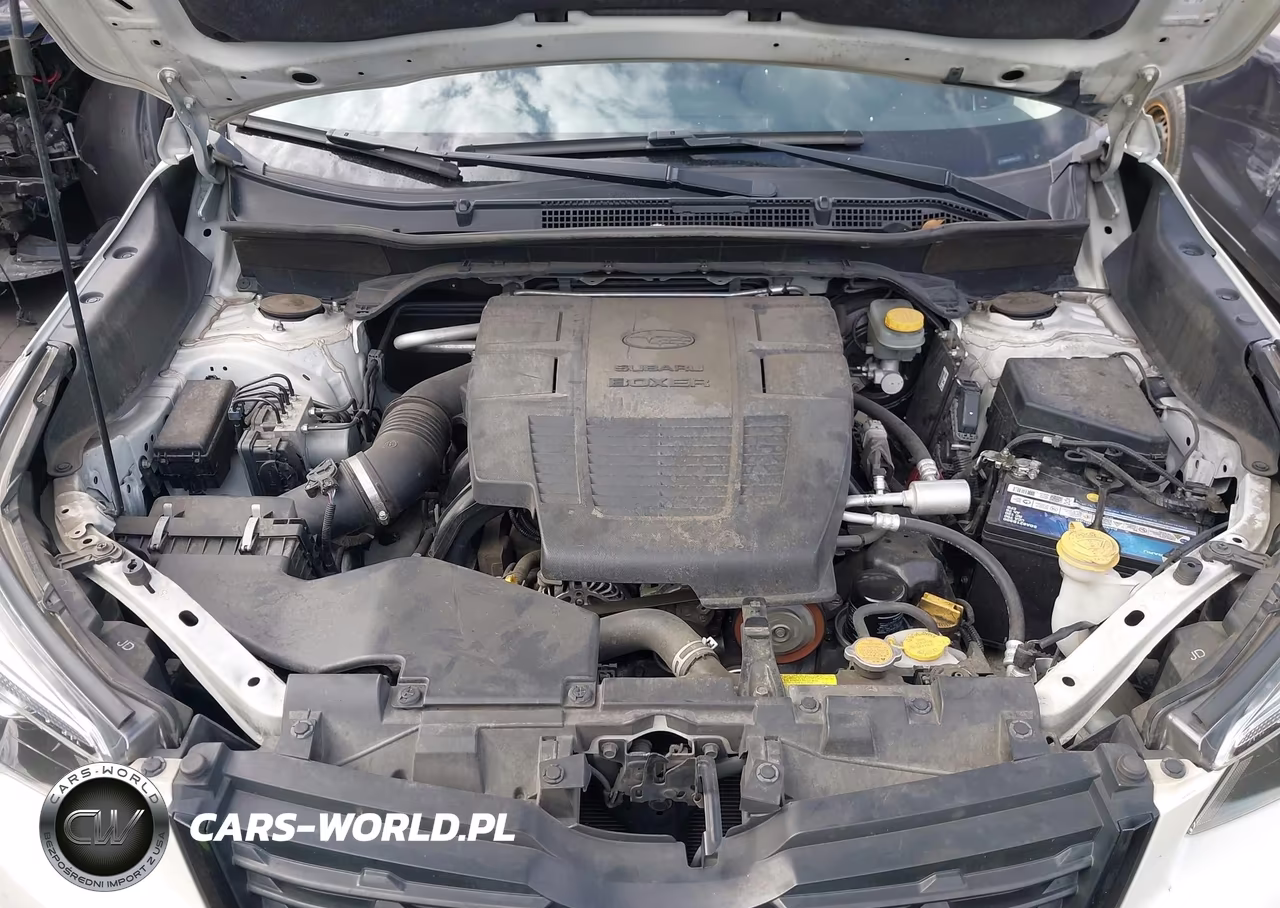 2019 Subaru Forester Sport VIN:JF2SKAKC4KH567379 - 10