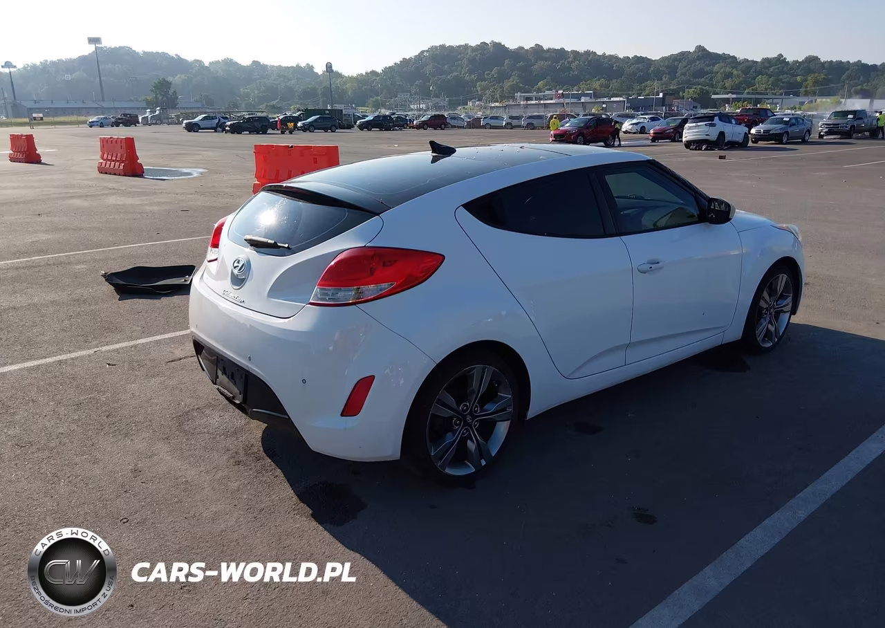 2014 Hyundai Veloster Base W-Black VIN:KMHTC6AD2EU191442 - 4