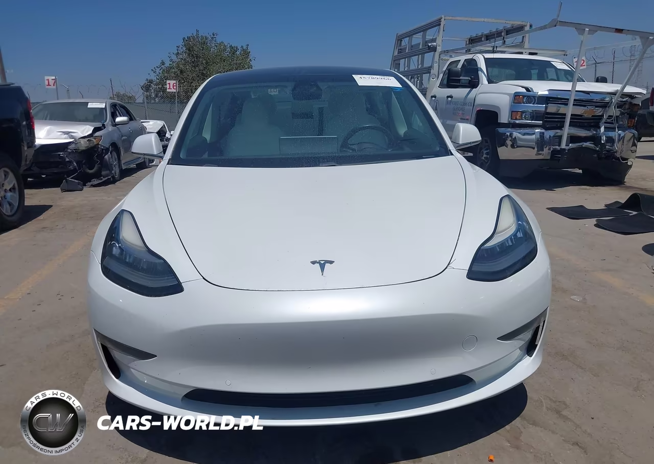 2019 Tesla Model 3 Long Range-Performance VIN:5YJ3E1EB9KF407009 - 12