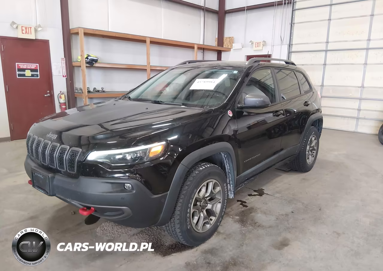 2020 Jeep Cherokee Trailhawk 4X4 VIN:1C4PJMBN0LD603541 - 2