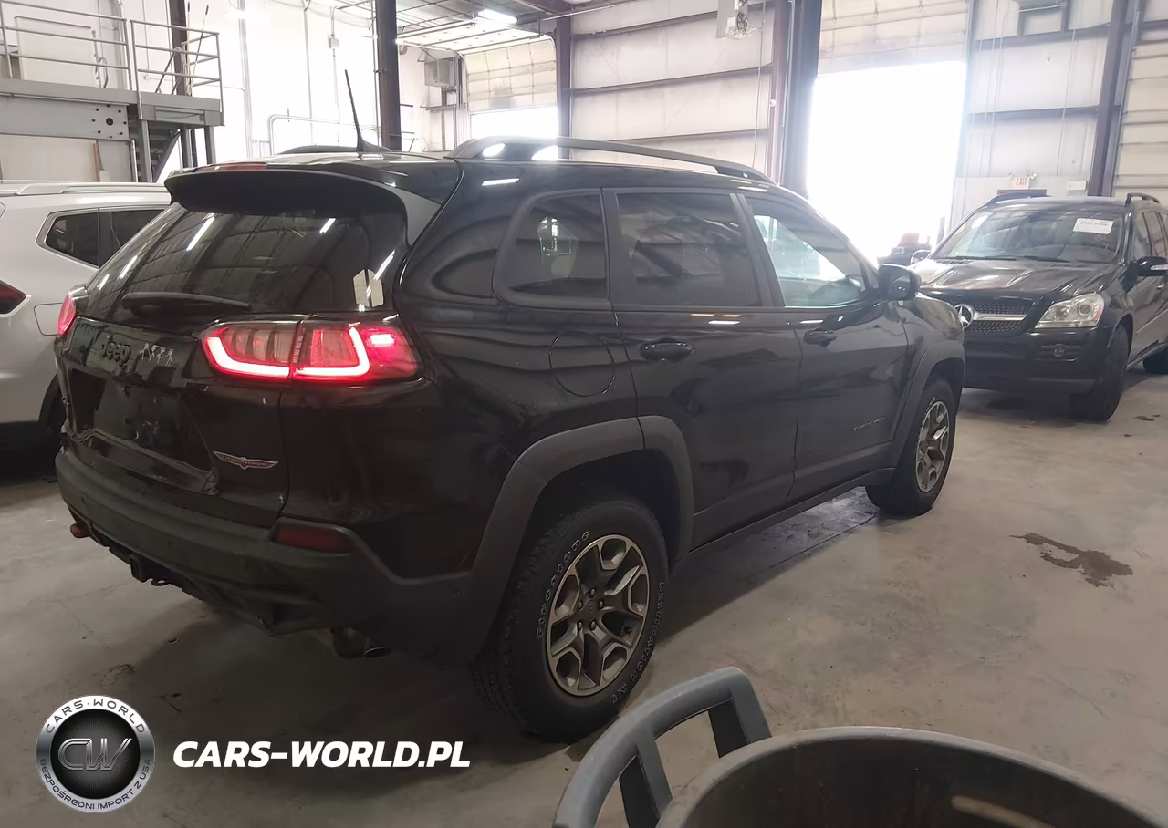 2020 Jeep Cherokee Trailhawk 4X4 VIN:1C4PJMBN0LD603541 - 4