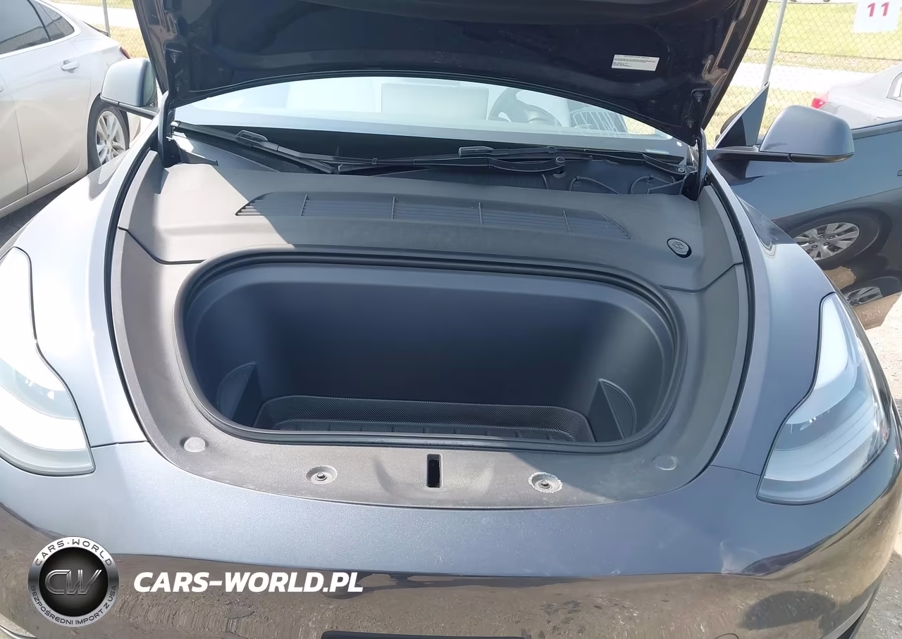 2024 Tesla Model Y Long Range Dual Motor All-Wheel Drive VIN:7SAYGDEE0RA231473 - 10