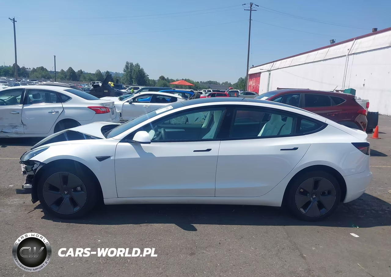 2023 Tesla Model 3 Rear-Wheel Drive VIN:5YJ3E1EA5PF494941 - 15