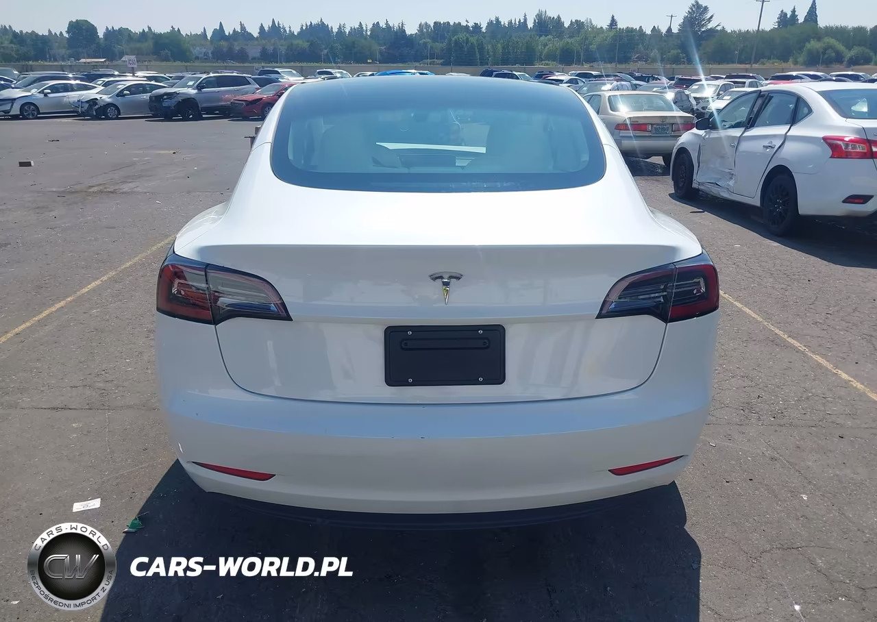 2023 Tesla Model 3 Rear-Wheel Drive VIN:5YJ3E1EA5PF494941 - 17