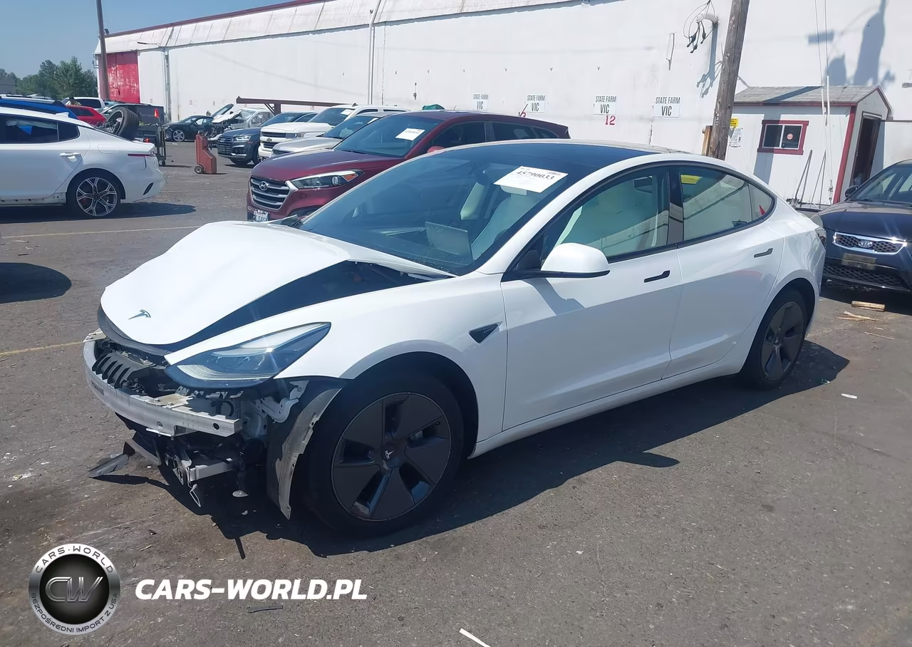 2023 Tesla Model 3 Rear-Wheel Drive VIN:5YJ3E1EA5PF494941 - 2