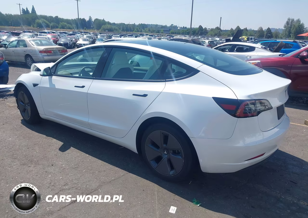 2023 Tesla Model 3 Rear-Wheel Drive VIN:5YJ3E1EA5PF494941 - 3