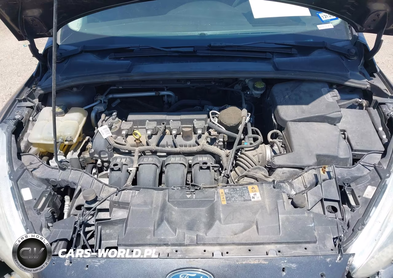 2015 Ford Focus Se VIN:1FADP3F25FL341169 - 10