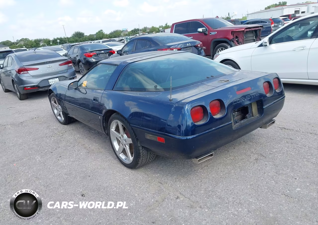 1992 Chevrolet Corvette VIN:1G1YY23P2N5106274 - 3